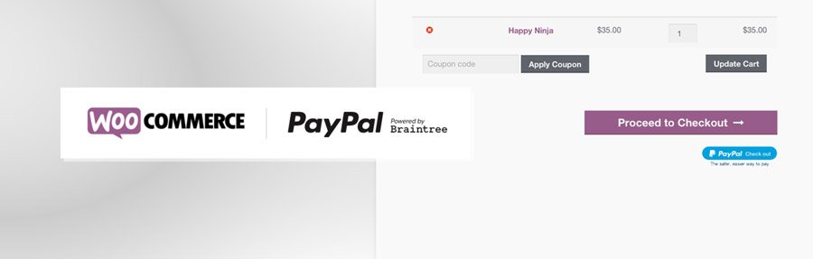 PayPal WooCommerce